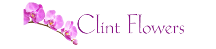 Clint Flowers